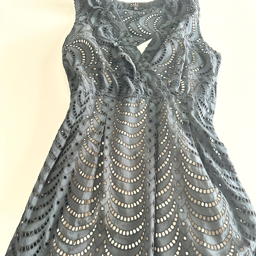 Alex Marie Navy Dress With Cream Slip